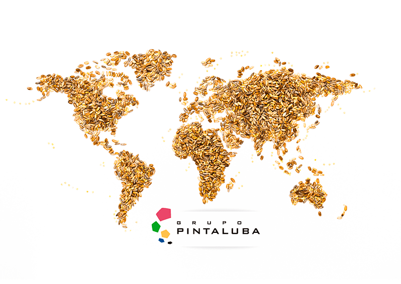 secuestrante-de-micotoxinas-mapa-cereal