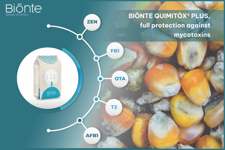 BIŌNTE® QUIMITŌX® PLUS, полная защита против микотоксинов