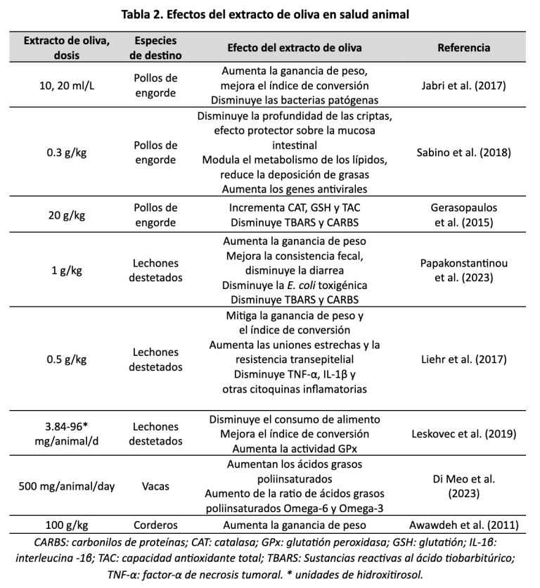 Extracto uva oliva