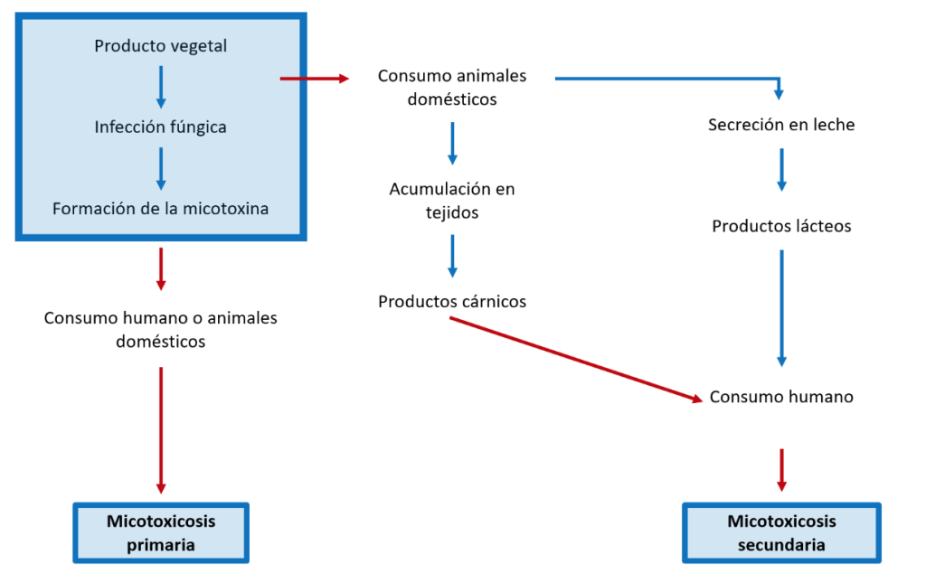 Micotoxinas 