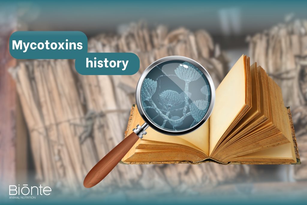 Micotoxinas