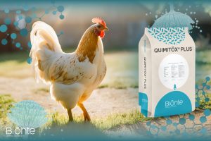 BIŌNTE® QUIMITŌX® PLUS DEMONSTRATES ITS EFFICACY IN BROILER CHICKENS EXPOSED TO AFLATOXIN CHALLENGE