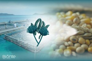 PLANT-BASED INGREDIENTS IN AQUACULTURE