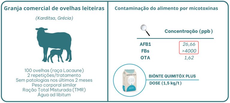 OVINOS LEITEIROS